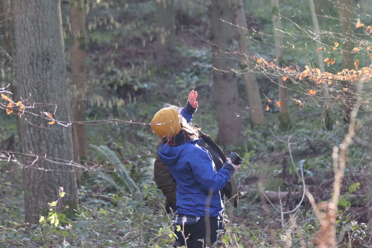 Neo's Kelly Smith in Kingley Vale woods, South Downs National Park